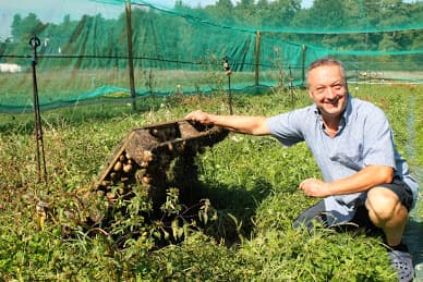 ferme d'escargots