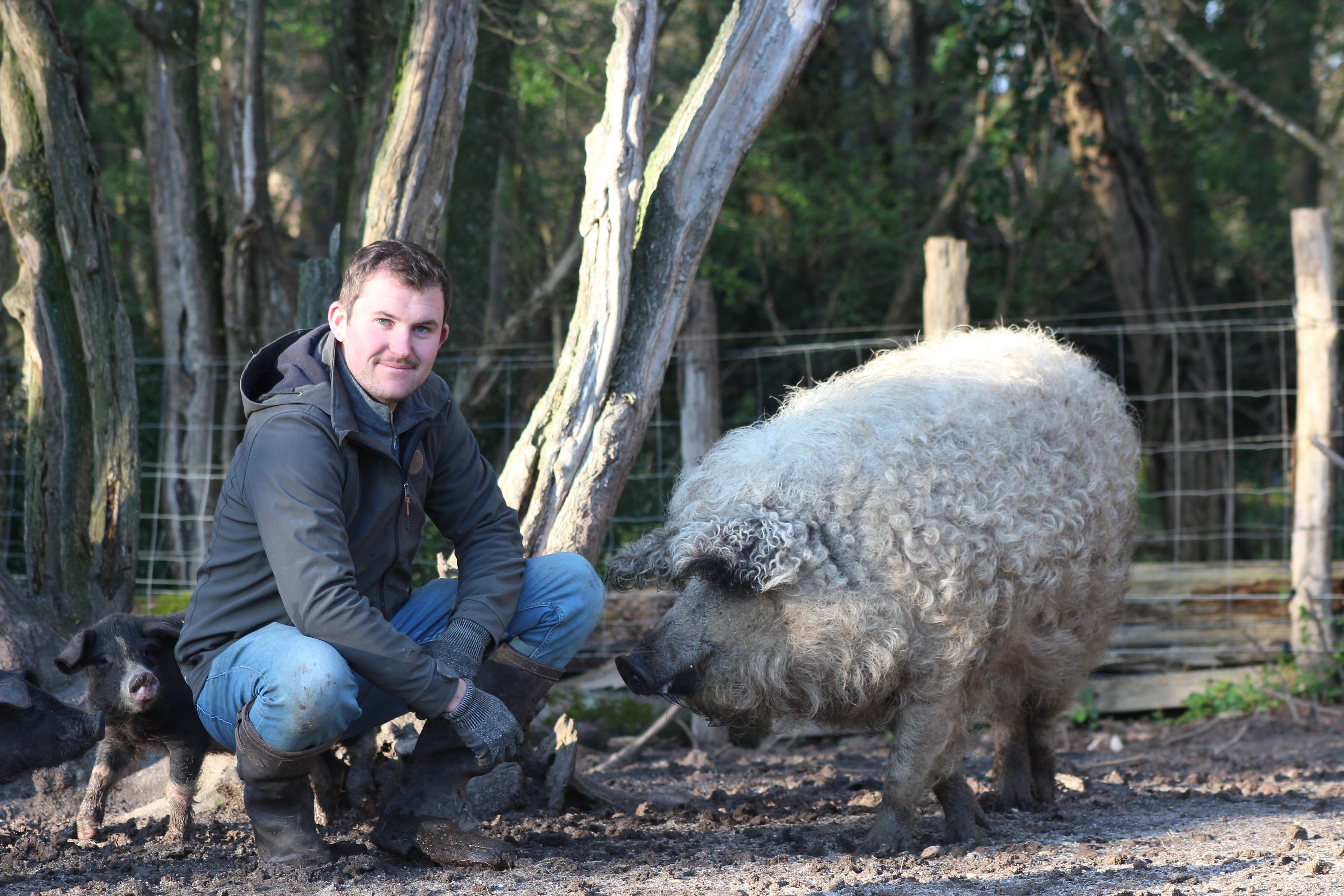 un éleveur de porc et un porc